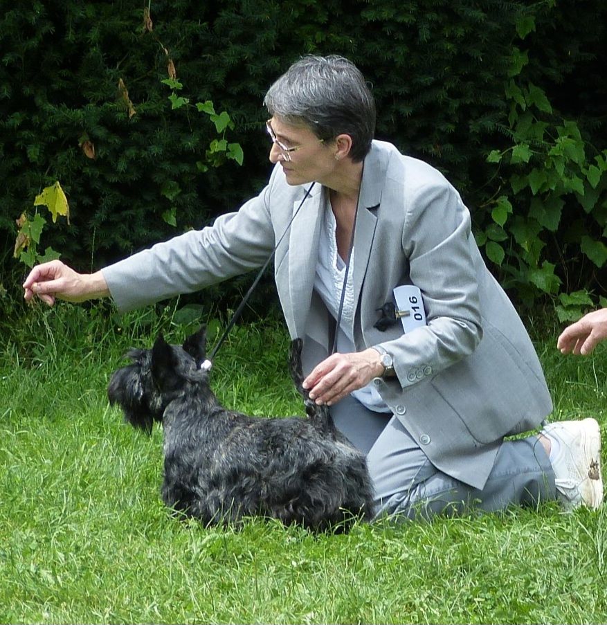 De La Twenty Century Fox - 2024 Exposition Canine Nationale Aurillac