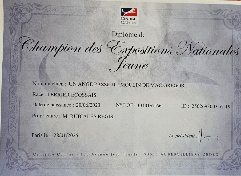 UN ANGE PASSE JEUNE CHAMPIONNE DES EXPOSITIONS NATIONALES