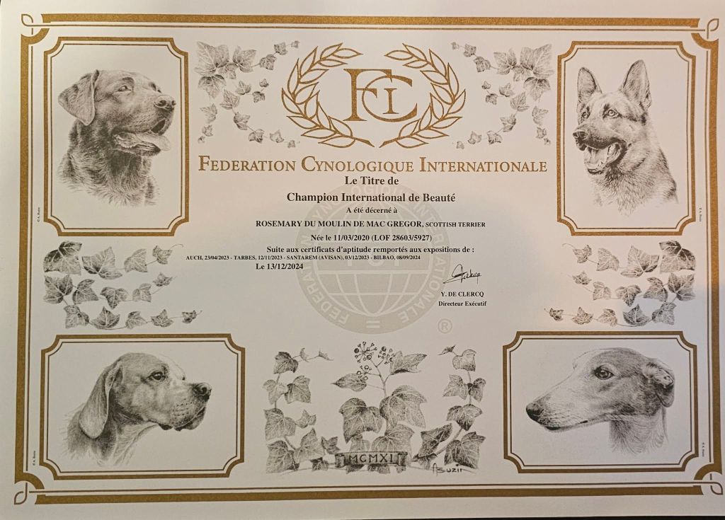 ROSEMARY CHAMPIONNE INTERNATIONALE DE BEAUTE