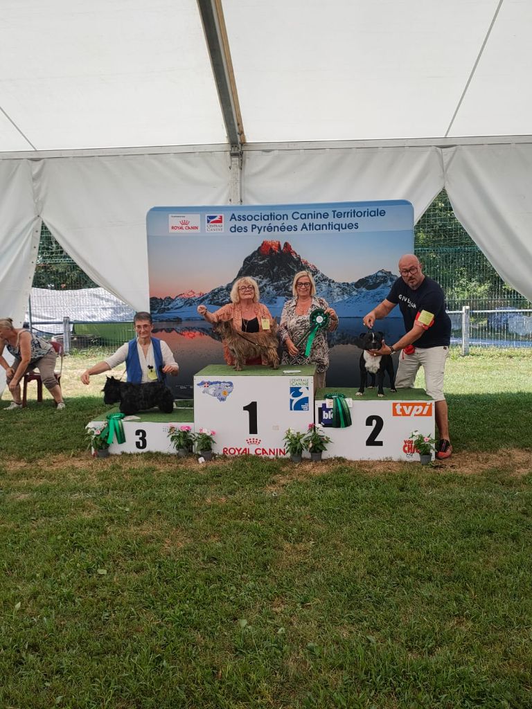 De La Twenty Century Fox - 2024 Exposition Canine Nationale Serres Castet