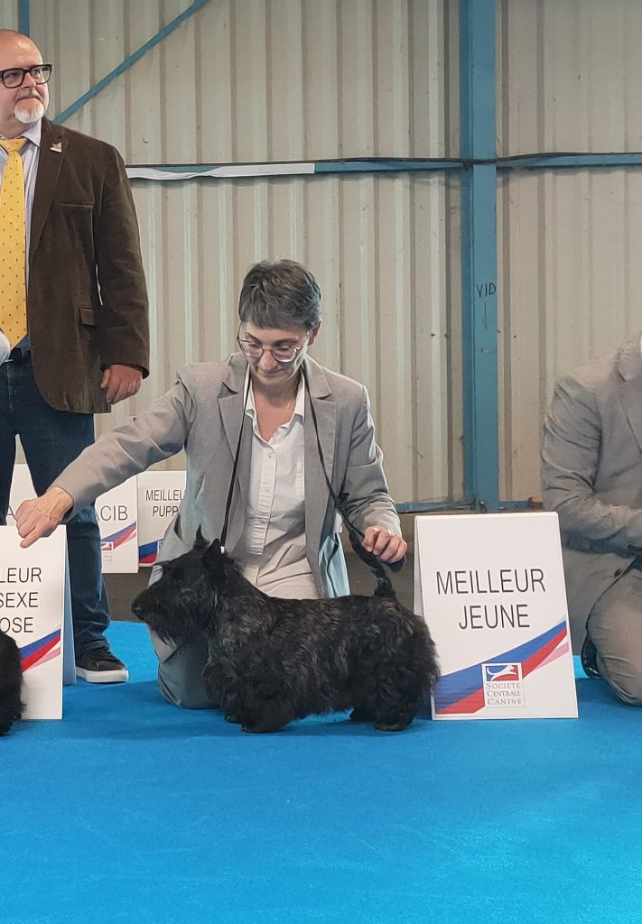 De La Twenty Century Fox - U2  JEUNE CHAMPION DE FRANCE