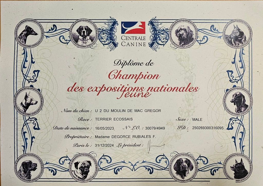 U2 JEUNE CHAMPION DES EXPOSITIONS NATIONALES 